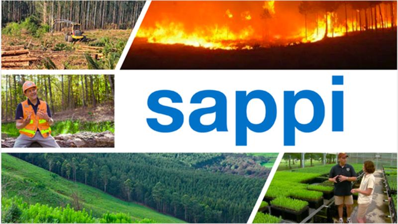 Sappi forestry visit